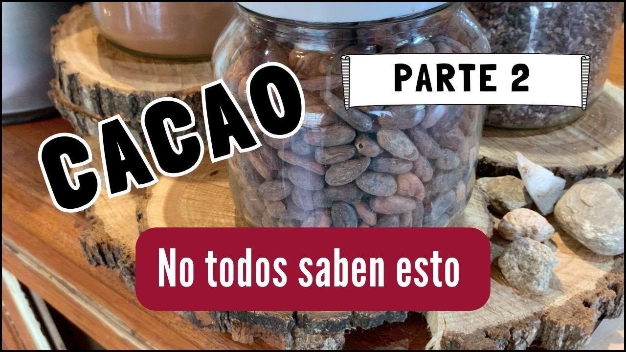 CACAO. La medicina de las PLANTAS. Aprendé a consumirlo CORRECTAMENTE. PARTE 2