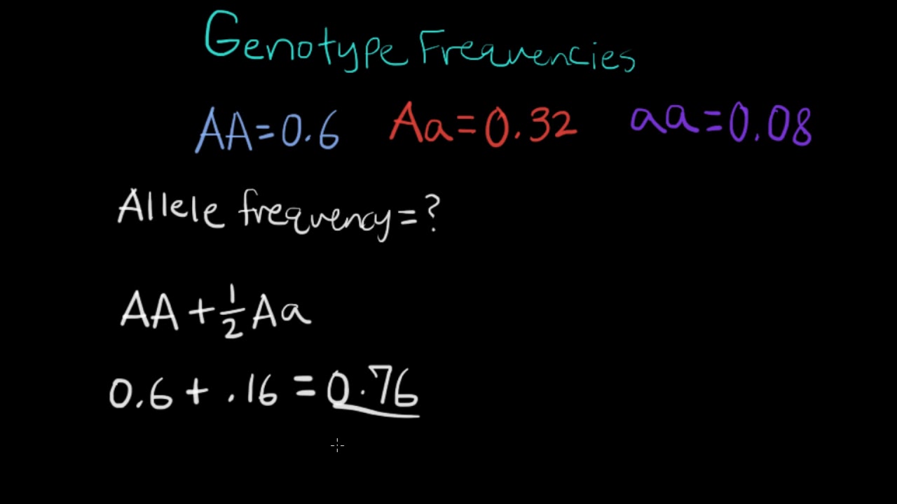 How to calculate the allele frequency given a genotype frequency
