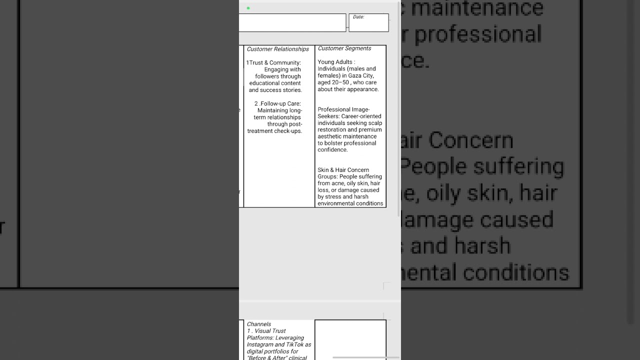 Business model canvas P1