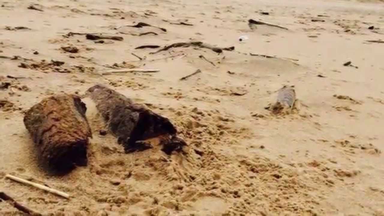 Baltic Sea protection | Защита Балтийского моря