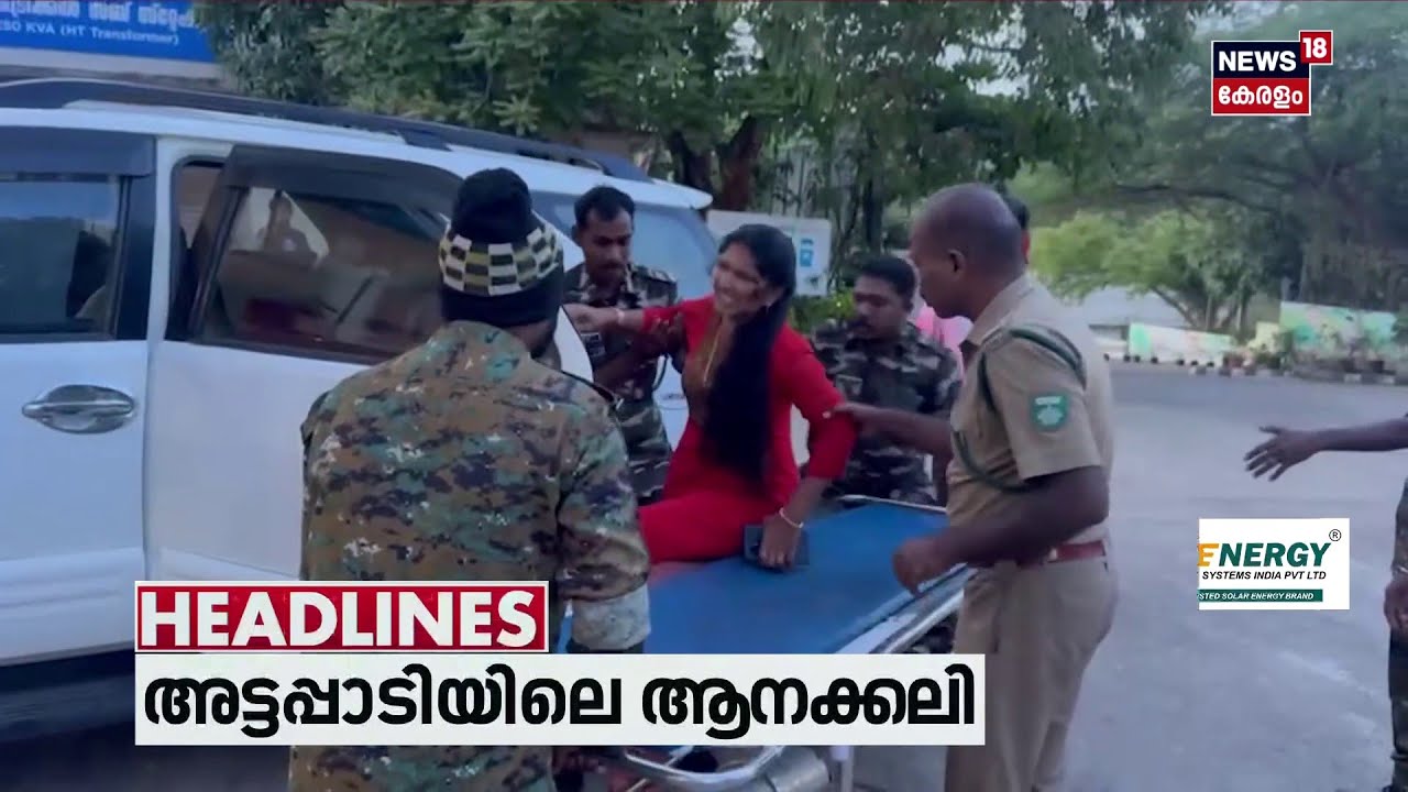 Top Headlines Of The Hour | ഈ മണിക്കൂറിലെ പ്രധാന തലക്കെട്ടുകൾ | Kerala News | 11 - 06 - 2026