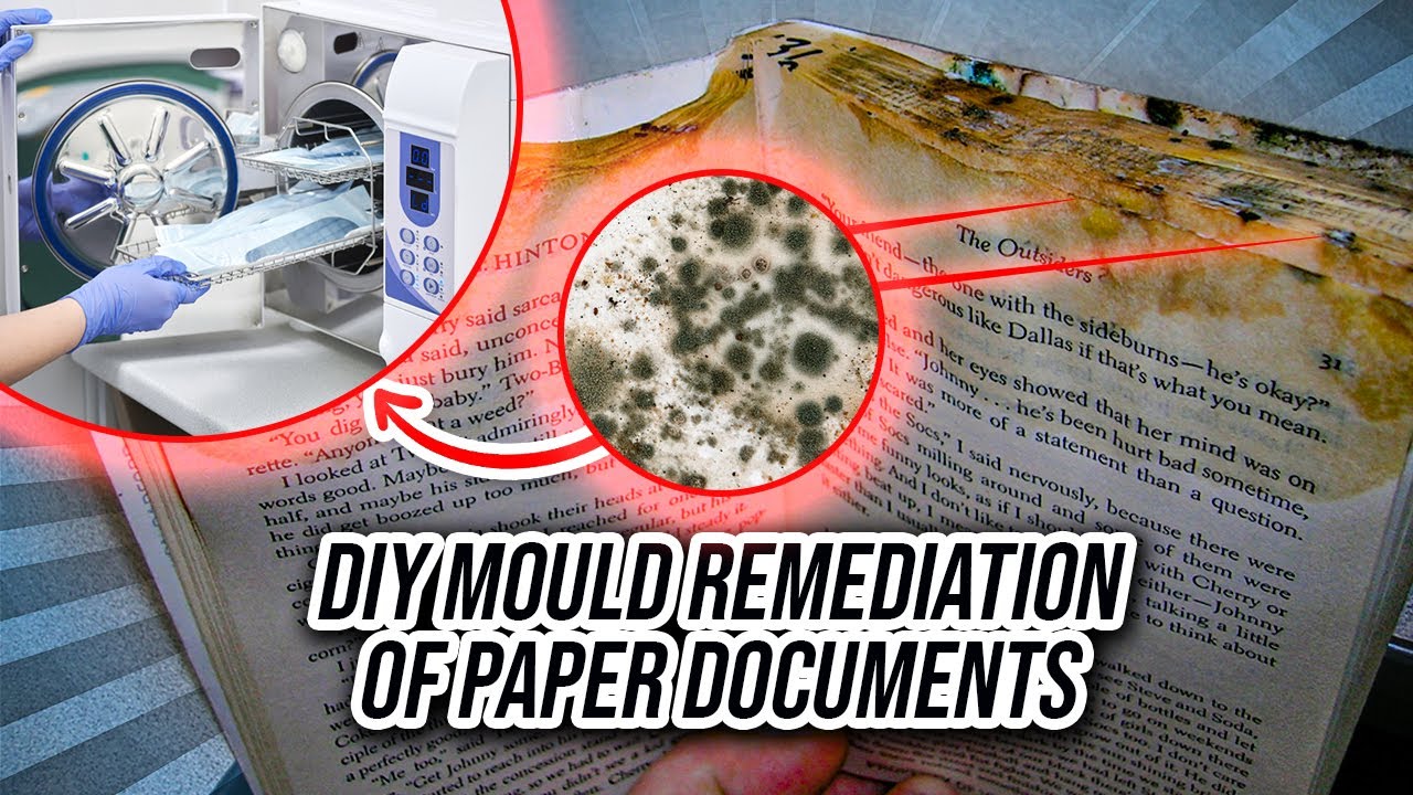 DIY Mould Remediation of Paper Documents