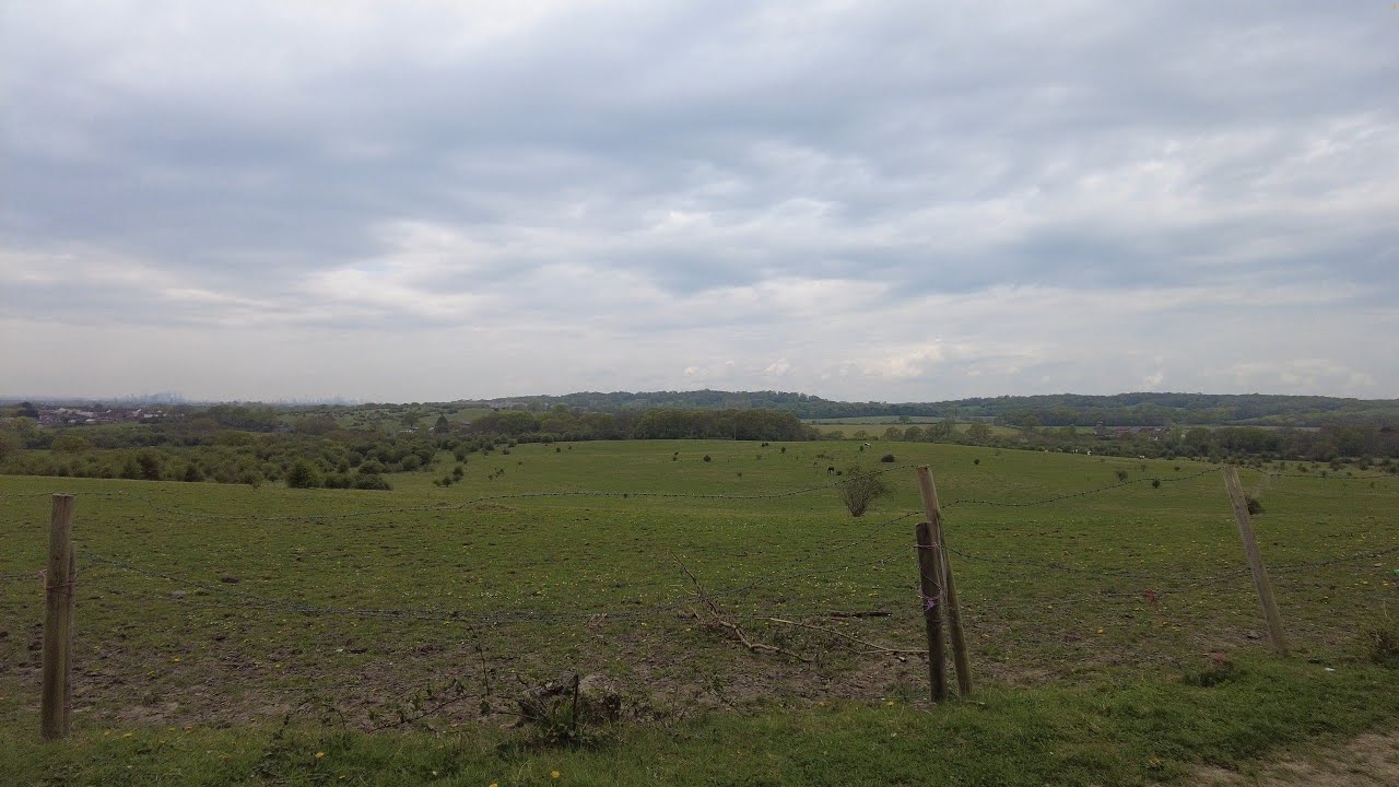 London LOOP section 20 - fields, more skylarks and a golf course: Chigwell to Havering-atte-Bower