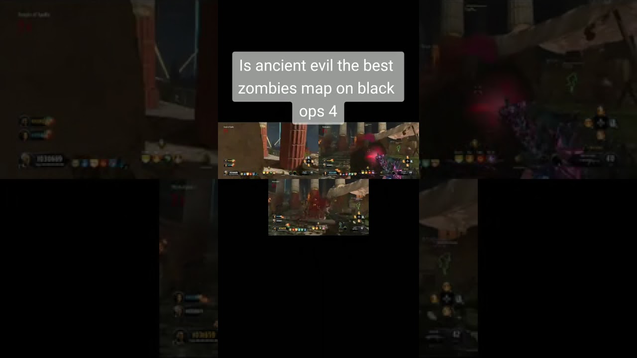 Call of duty blackops 4 zombies with mods PS4/ GoldHEN /chipped