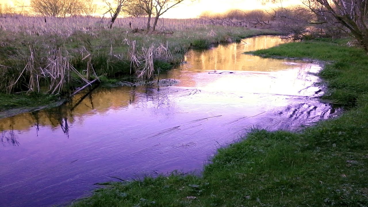 Trippstadt-Johanniskreuz-Moosalbsprung-Oberhammer