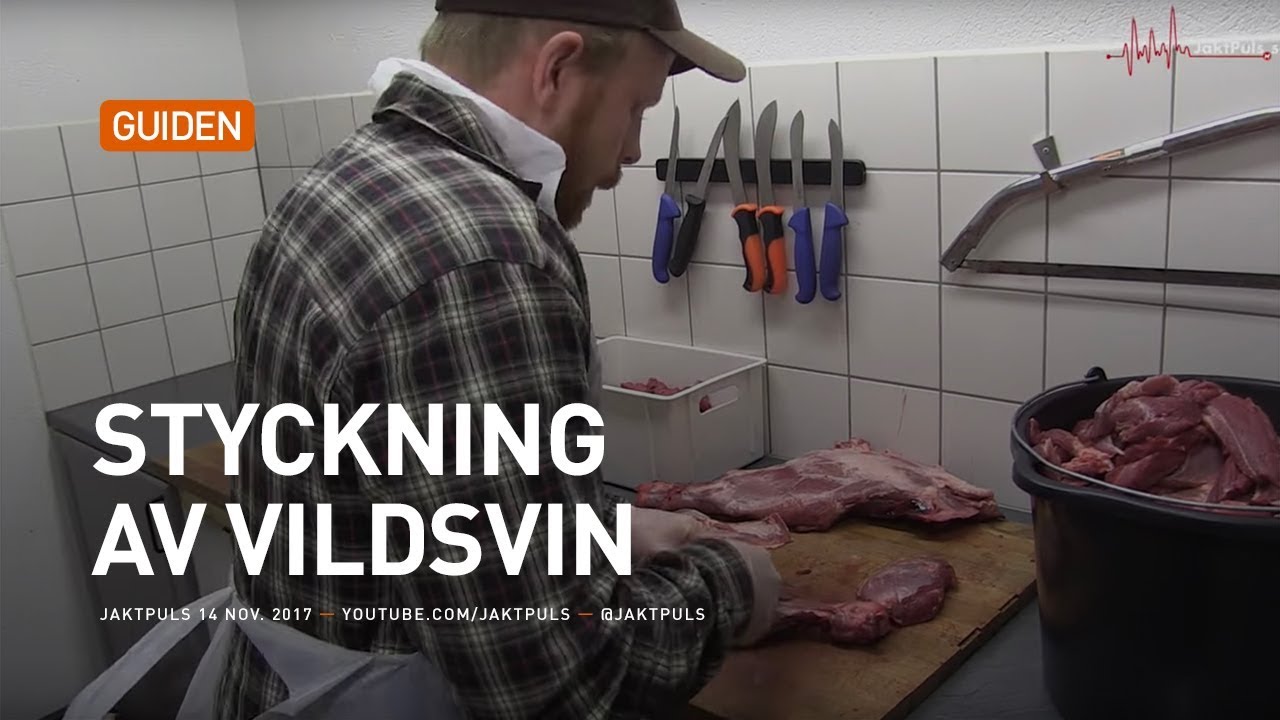 Styckning av vildsvin