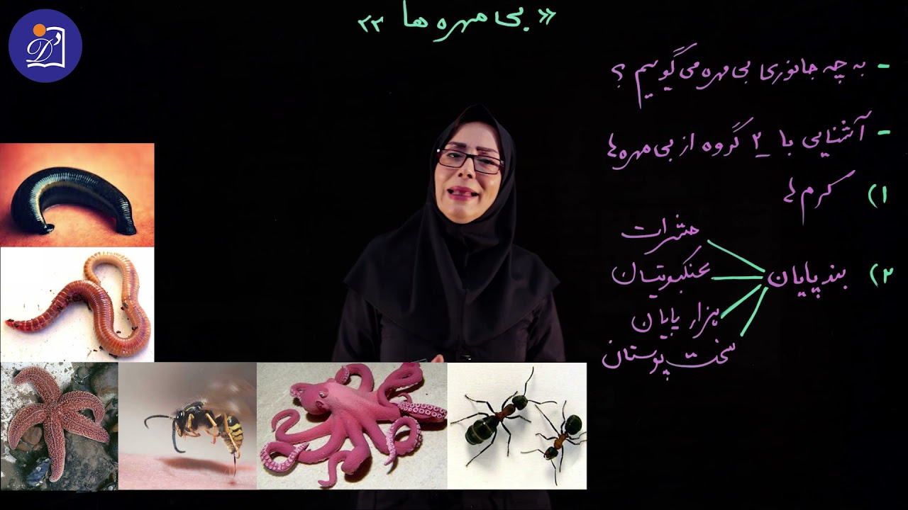 دبستان دی - پایه چهارم - علوم - درس یازدهم - بی مهره‌ها (بخش اول)