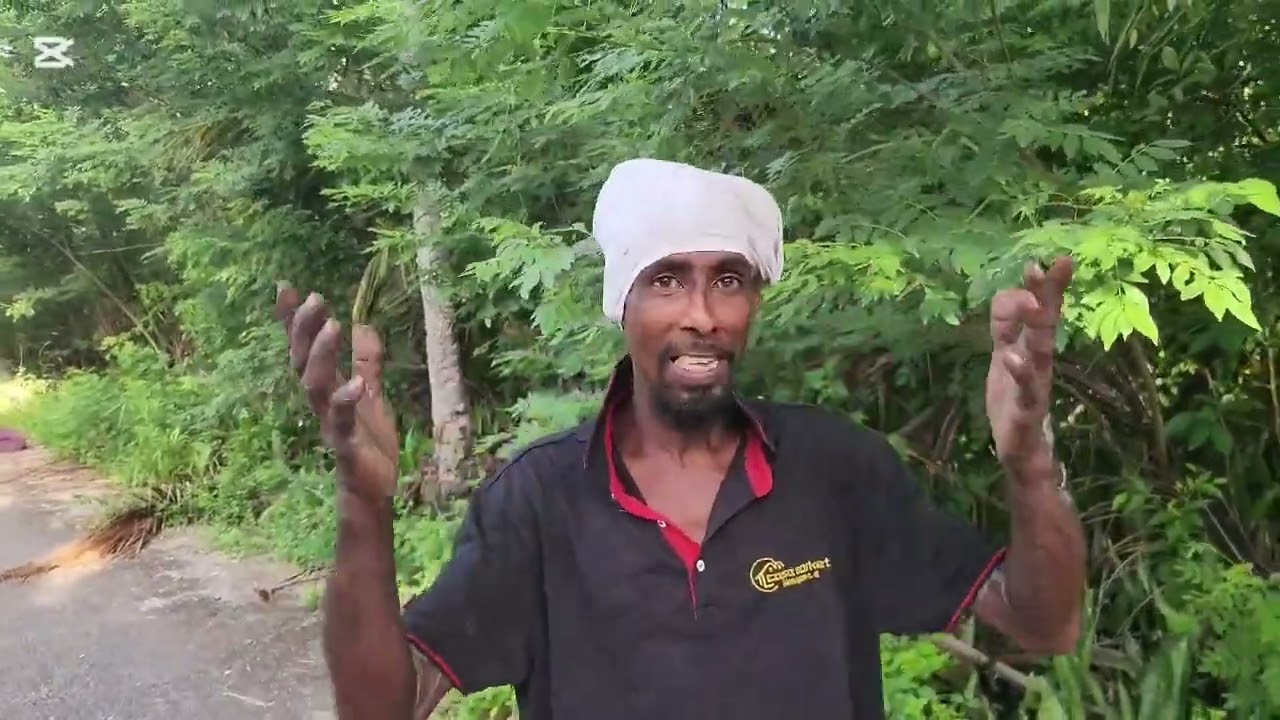 We met the Icacos Rambo while  exploring Bout Grand Chemin Icacos South Trinidad.