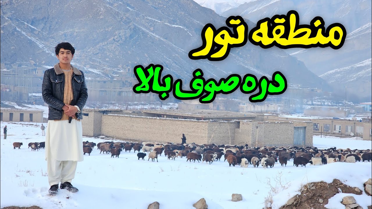 گزارش نهضت یار از منطقه تور ولسوالی دره صوف بالا #سمنگان #دره_صوف #تور #معدن #افغانستان_دیارم