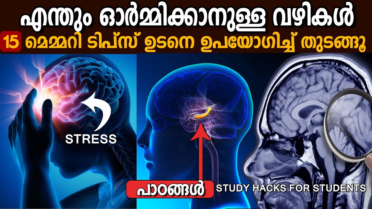 MUST WATCH - ഓർമ്മയിൽ എന്തും തങ്ങിനിൽക്കും - 15 STUDY TIPS - LIFE CHANGING IDEAS & AFFIRMATIONS
