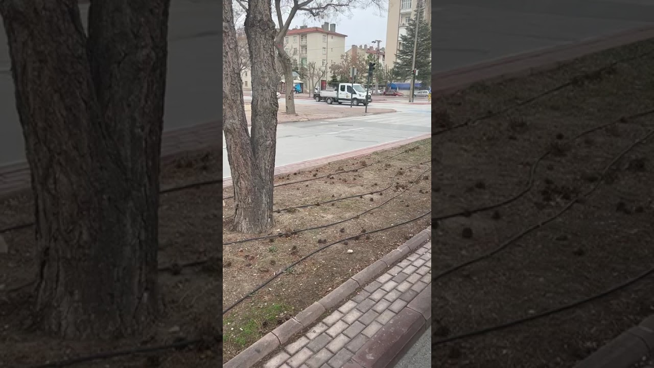 42jejük81 araç no 39175