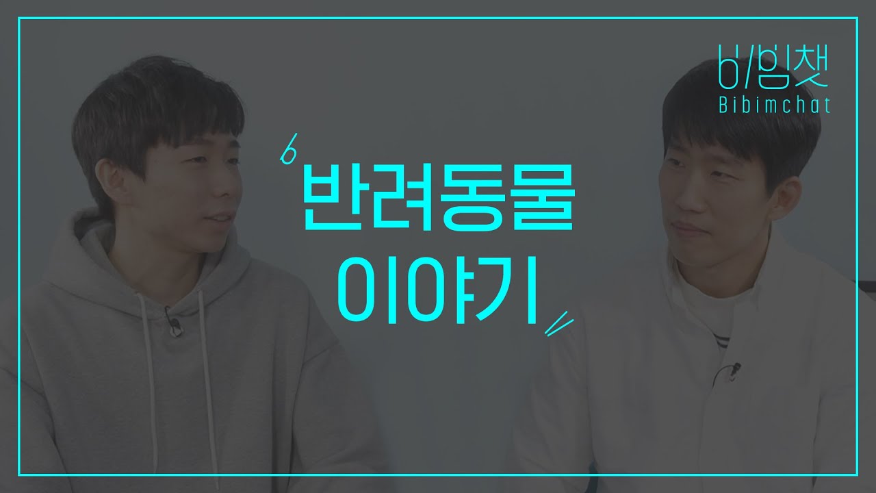 비빔챗: 반려동물 이야기 (Companion animals)