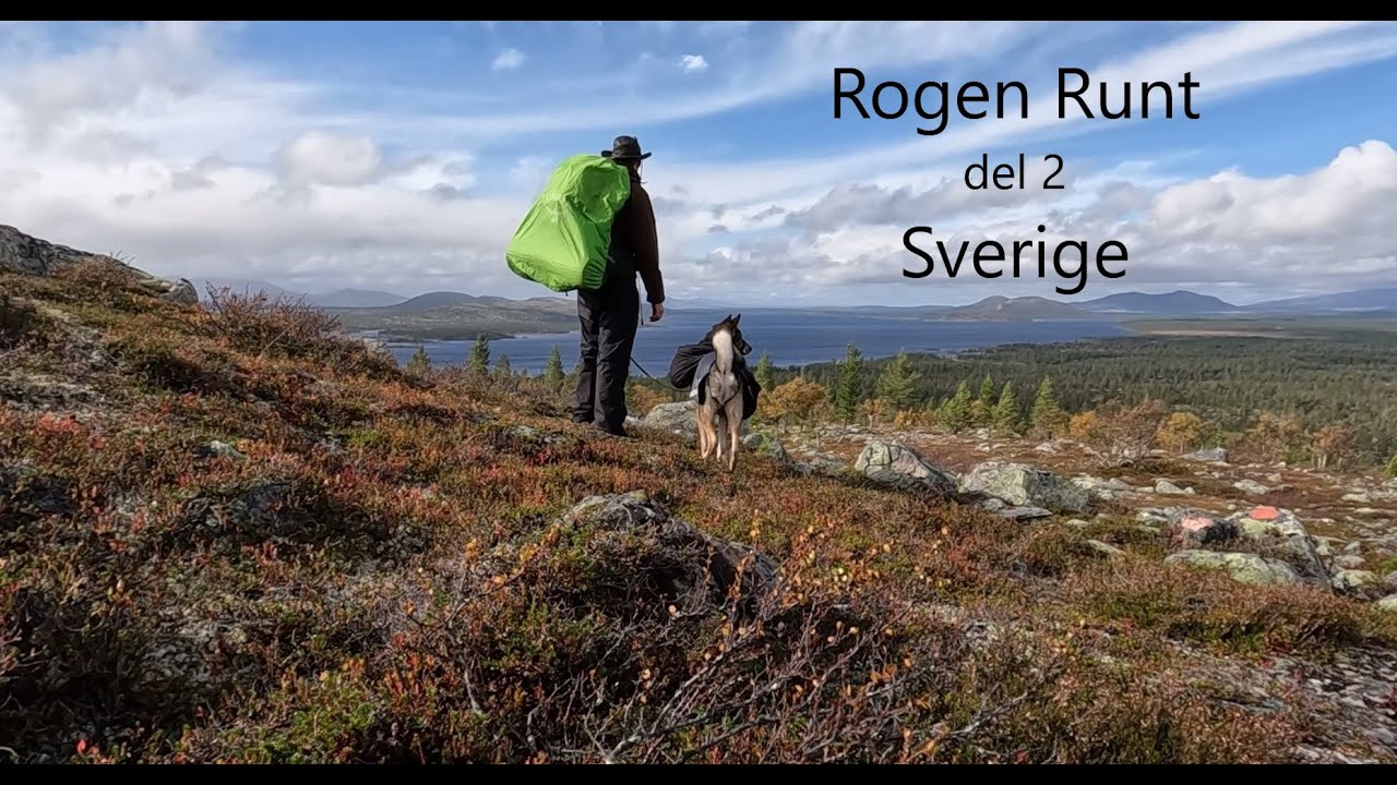 Rogen Runt del 2 Sverige