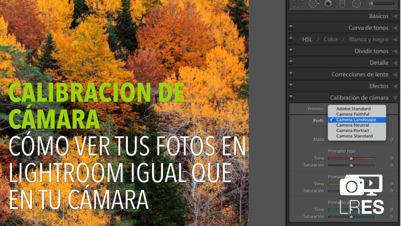 Tutoriales Lightroom :: Cómo Calibrar Lightroom para que tus fotos se vean igual que en tu cámara