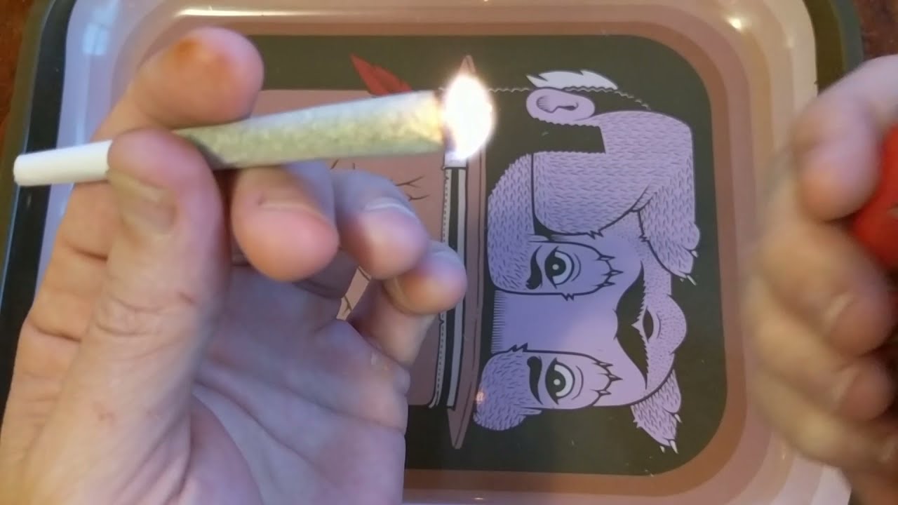 Cherry Punch Preroll 25% Trulieve Eustis 🍒👊