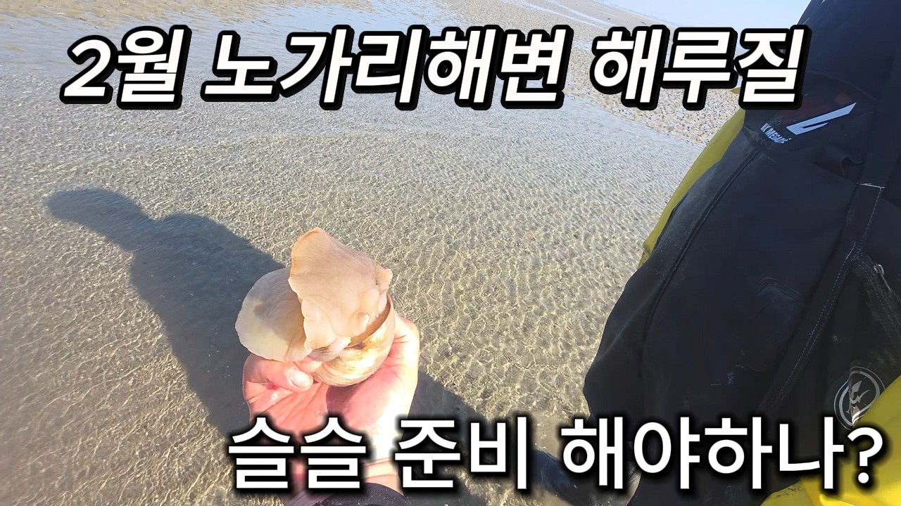 노가리해변 해루질~!! 노가리 주차자리 큰 일 났네요