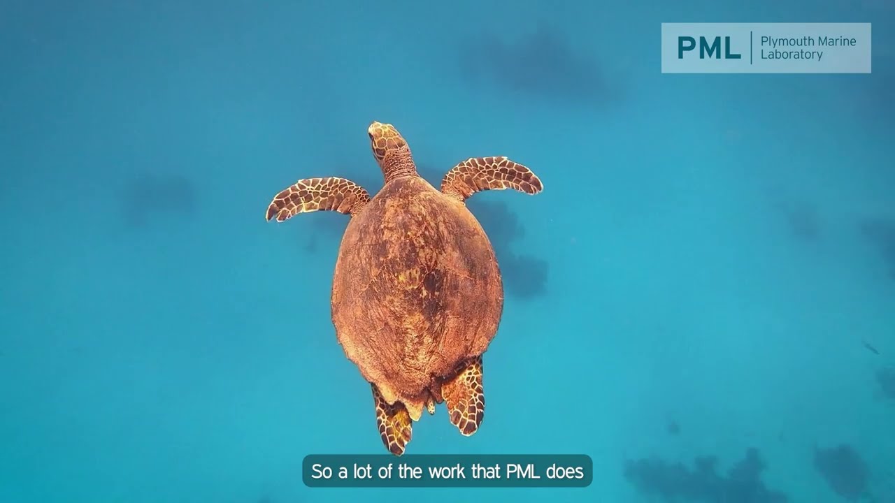 Why the Ocean Matters