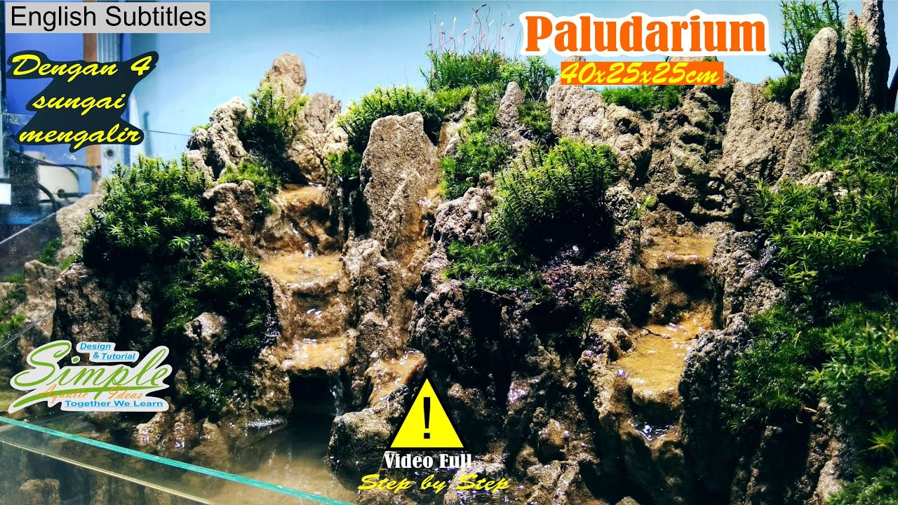 Step by Step Paludarium 40 cm dengan 4 aliran air terjun tema bukit #18