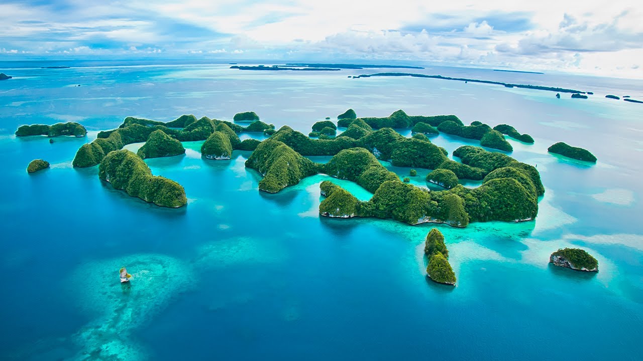 Croisière plongée à Palau avec Palau Siren