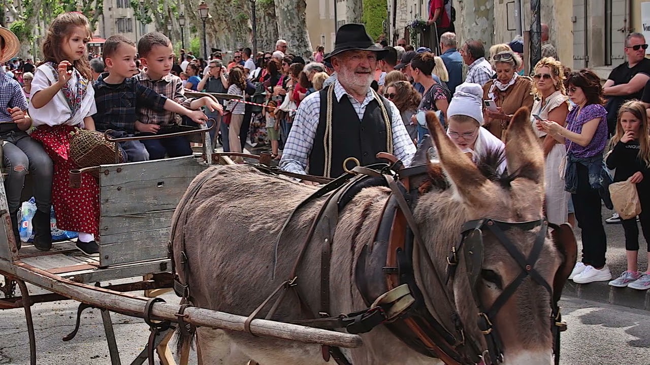 De Transhumance in Saint-Remy de Provence