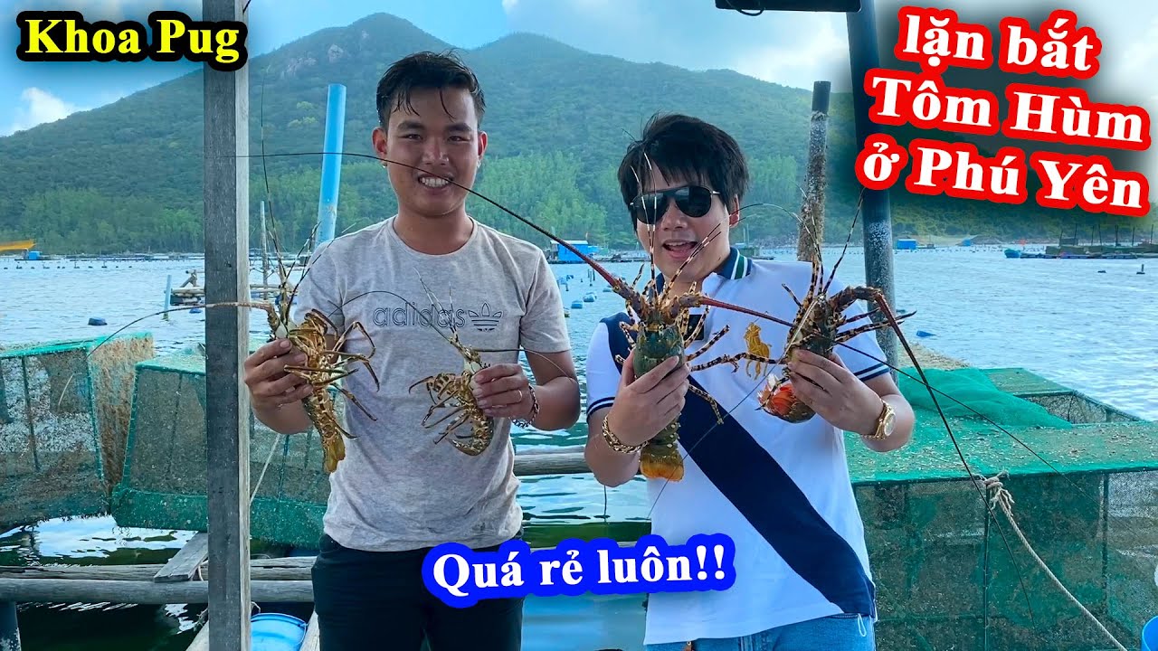 Khoa Pug Theo Chân Ngư Dân Đi Lặn Bắt Tôm Hùm + Ăn Mắt Cá Ngừ Đại Dương Khổng Lồ | Du Lịch Phú Yên