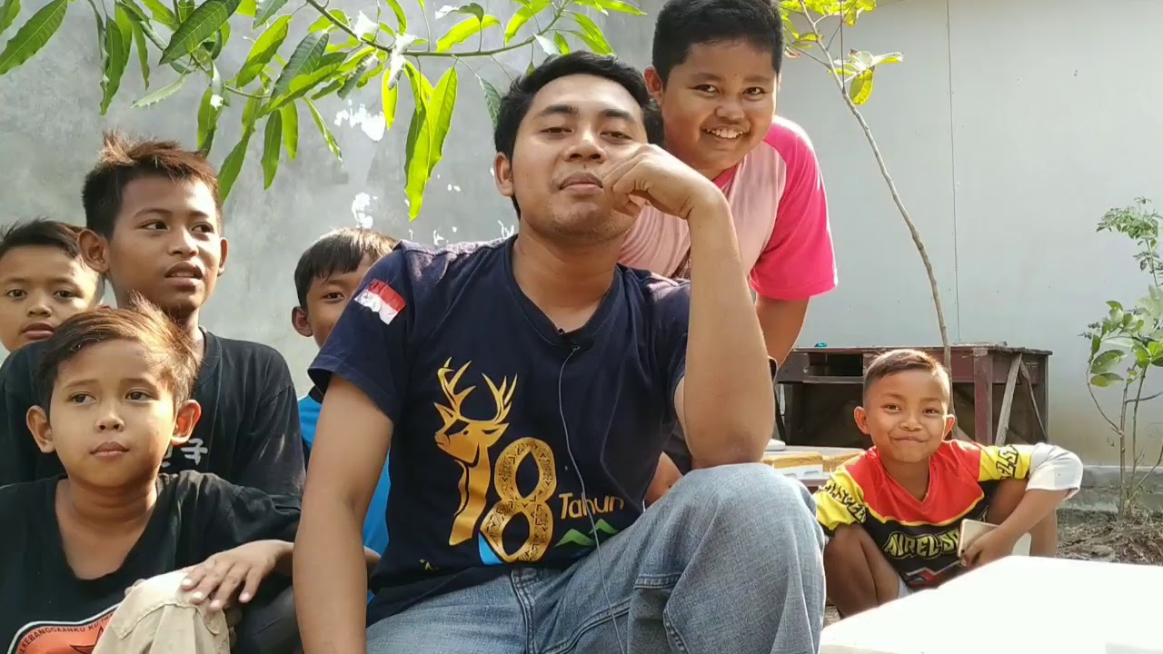 Manfaat Box Styrofoam Untuk Tempat Pembesaran Burayak