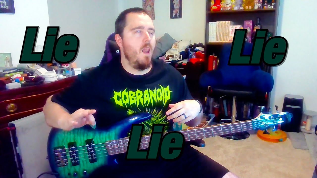 Lie, Lie, Lie by Serj Tankian Bass Cover