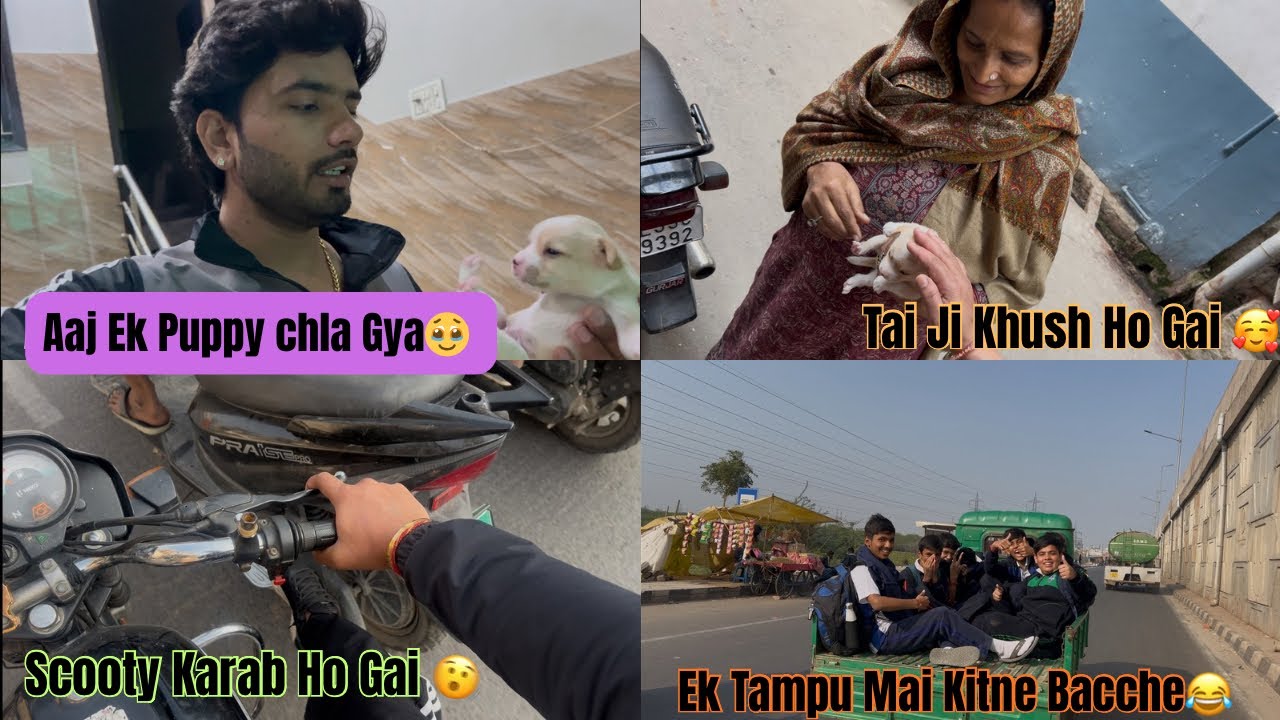 School Time Ki Yaad Agai Baccho Ko Dekh Kar😍 !! Aaj Ek puppy Chla Gya🥹