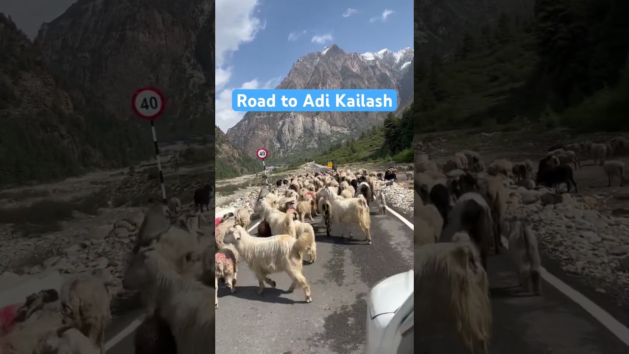 Road to Adi Kailash | Beautiful Himalayan Valley #trekking #travel #nature #mountains #himalaya