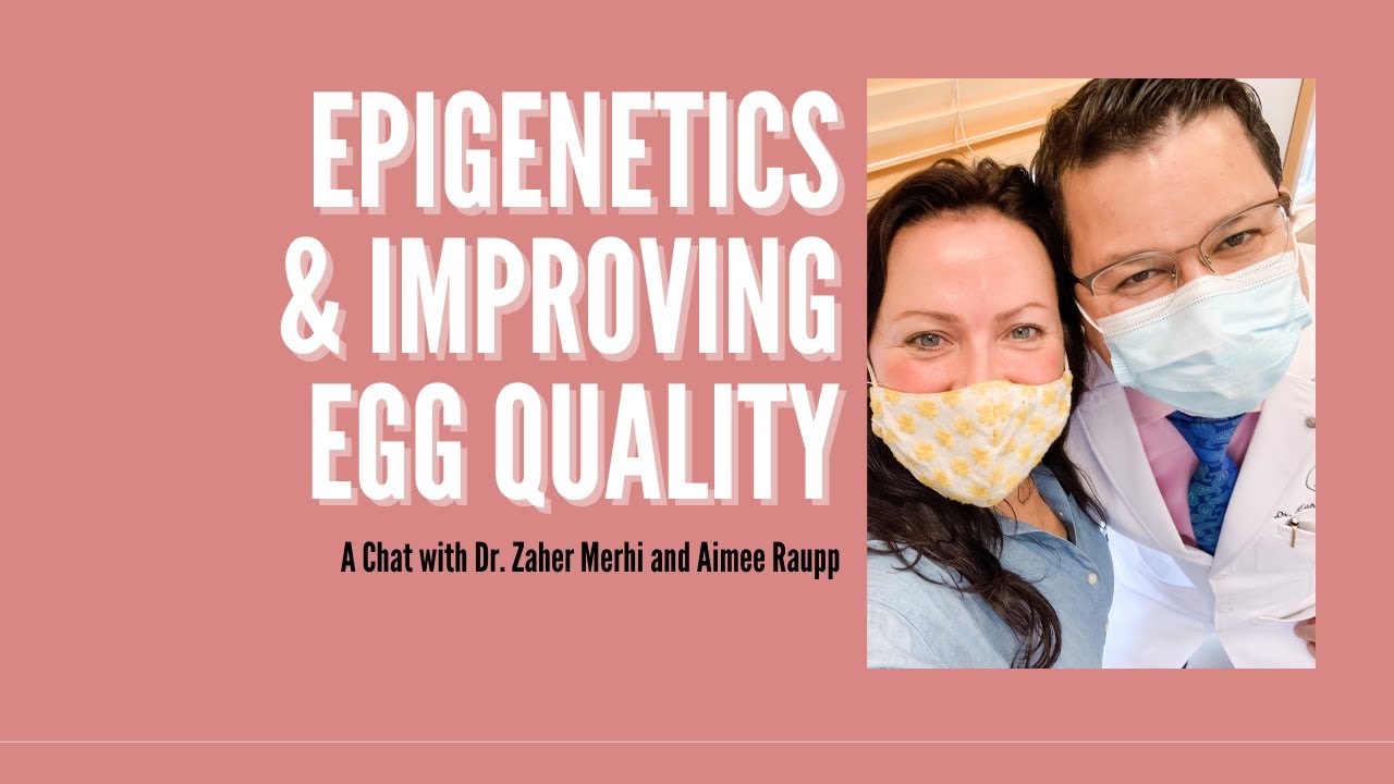 Everything you know about egg quality is a lie {A Fertility Expert’s Experience!}