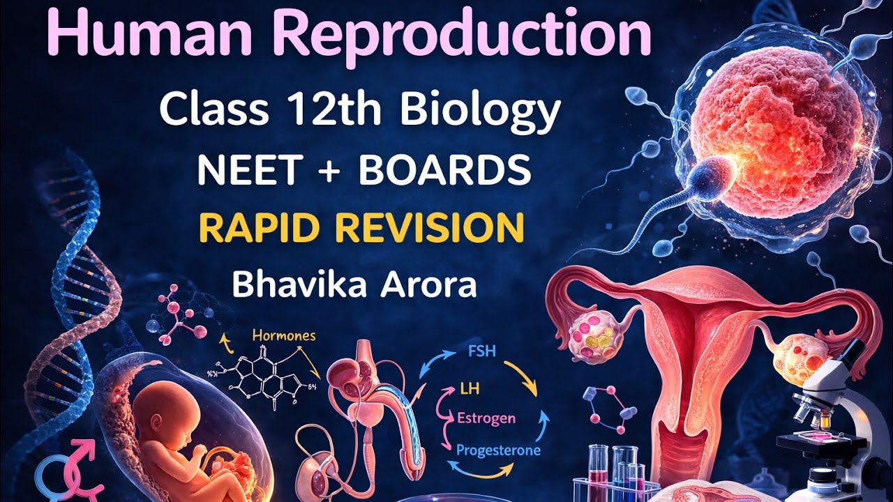 Human Reproduction Rapid Revision | Class 12 Biology | Full Chapter in 35 Minutes | NEET & Boards