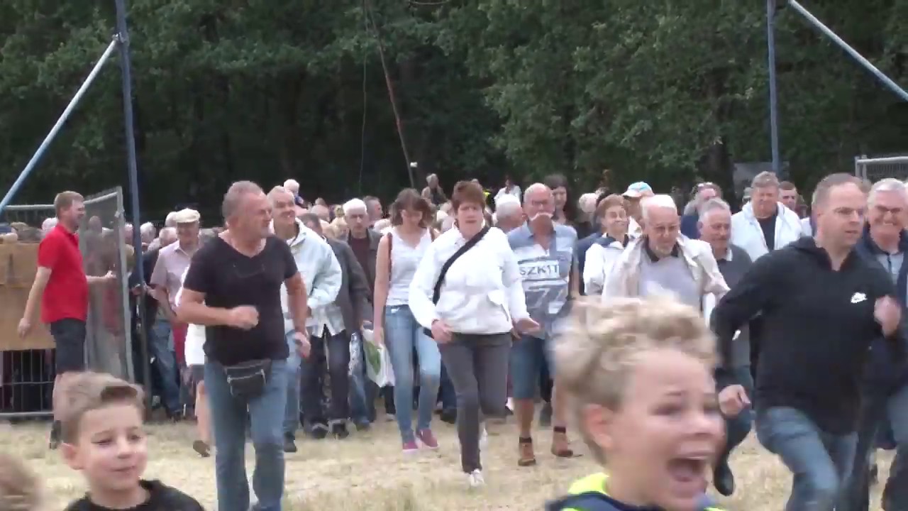 Maasland TV - Rommelmarkt Kindervakantie Werk Well 2019