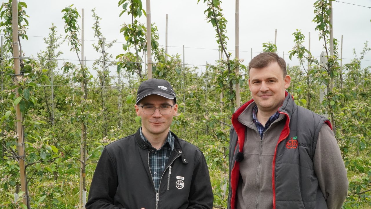 Zwalczanie chwastów w sadach – kompleksowe rozwiązanie