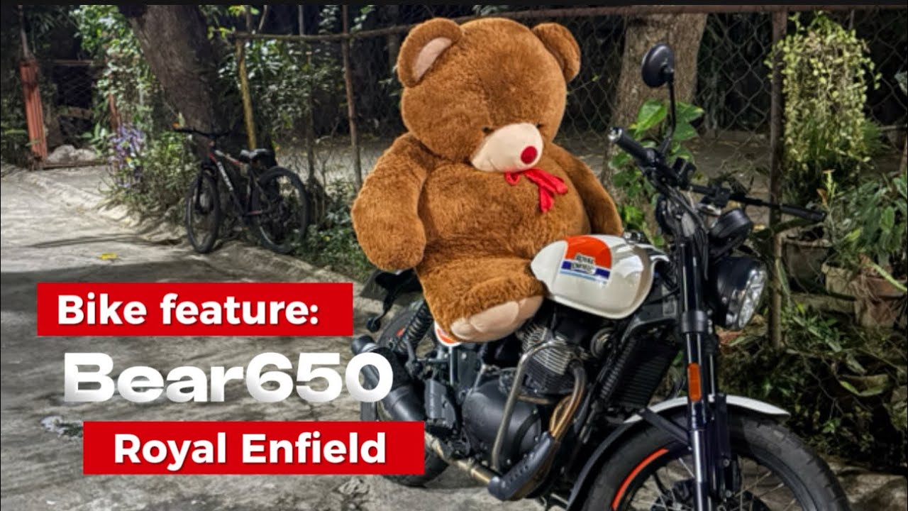 Bike Feature: Royal Enfield Bear 650 