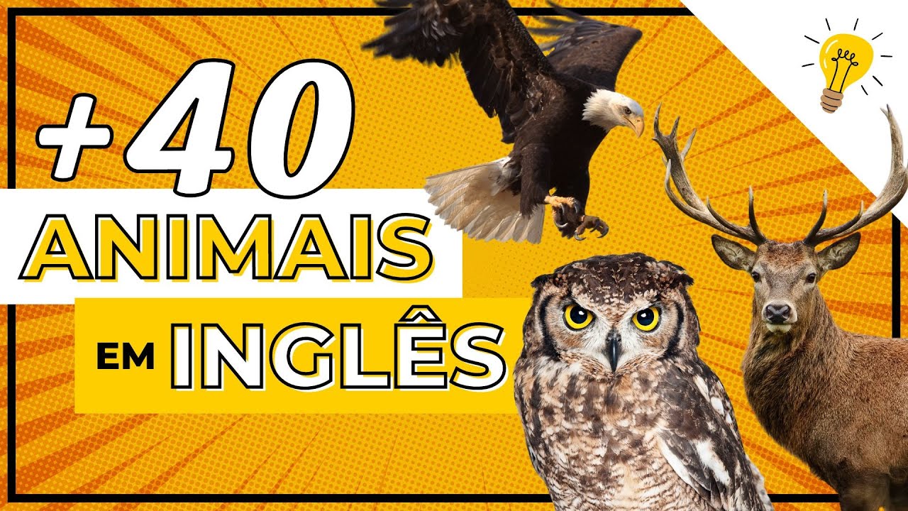 Vocabulário de ANIMAIS em INGLÊS [com pronúncia]