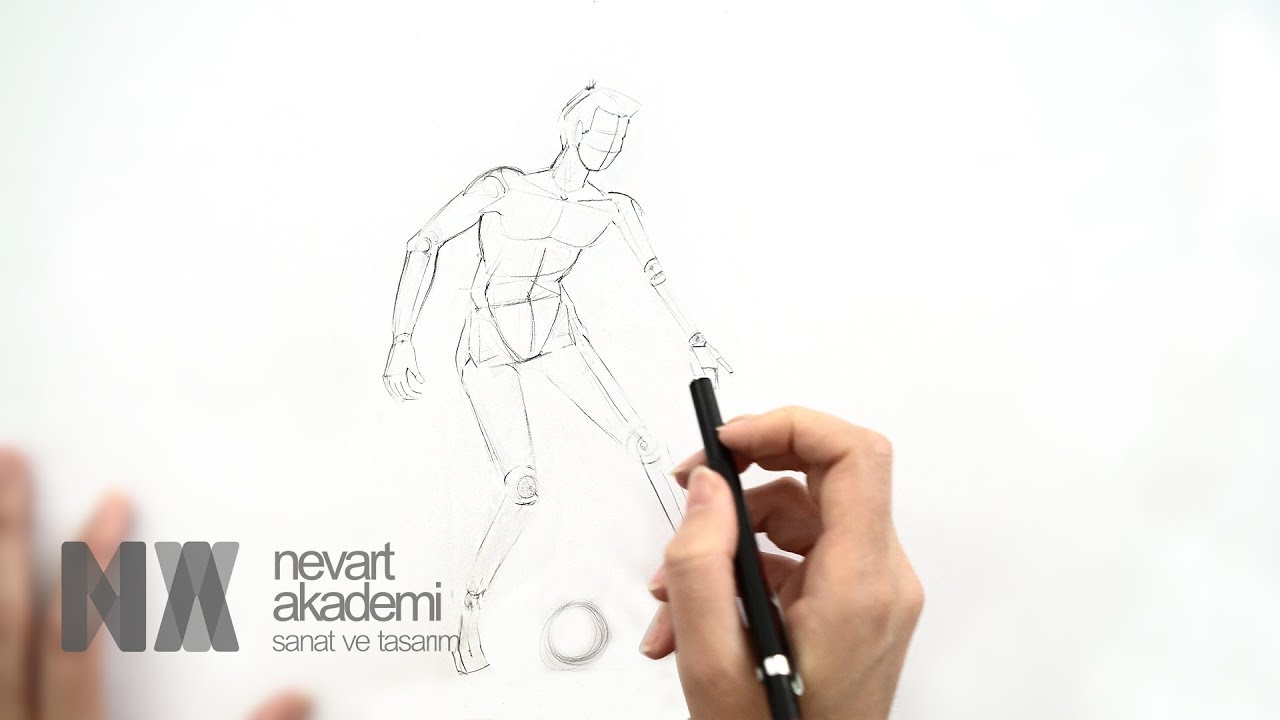 NEVART AKADEMİ | Anatomi Ders-8 Hareket
