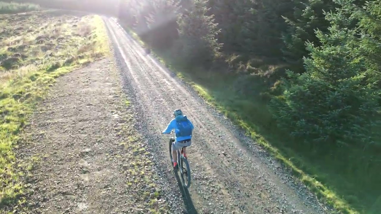 kielder forest drive 4k drone on bike