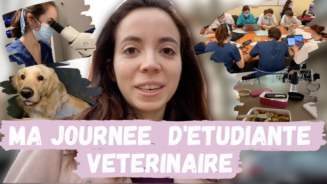 24h dans ma vie d'étudiante vétérinaire à l'École Nationale Vétérinaire de Maisons-Alfort