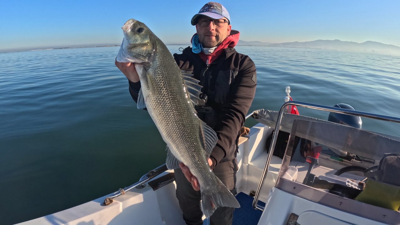 SİLİKON KARİDES AKSİYONU VE TROFE LEVREK AVIMIZ #lrf #spin #fishing #seabass #levrek #shimano #fujin