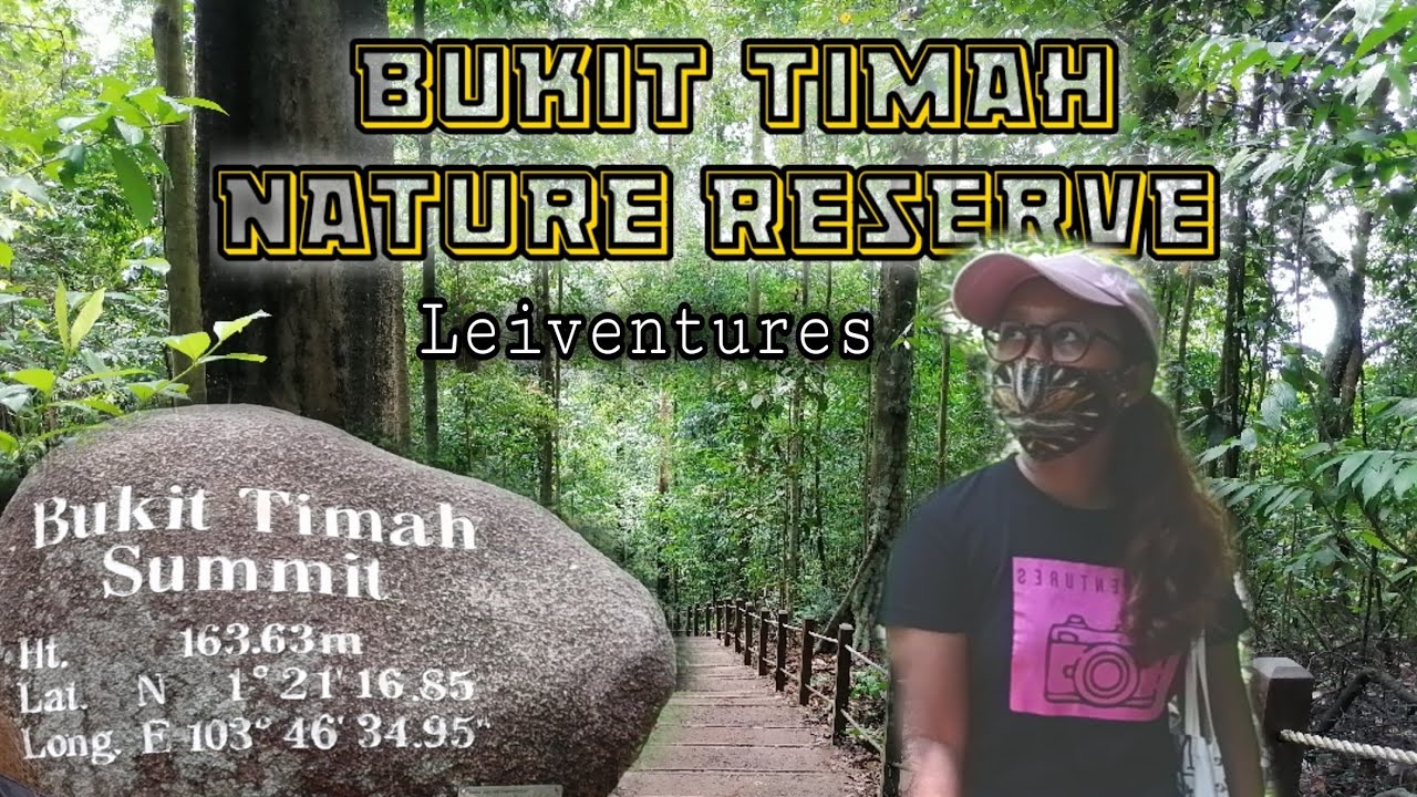 Bukit Timah Nature Reserve|Bukit timah summit
