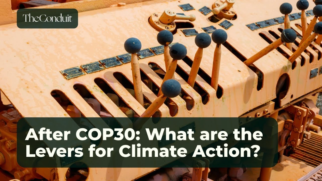 After COP30: What are the Levers for Climate Action?