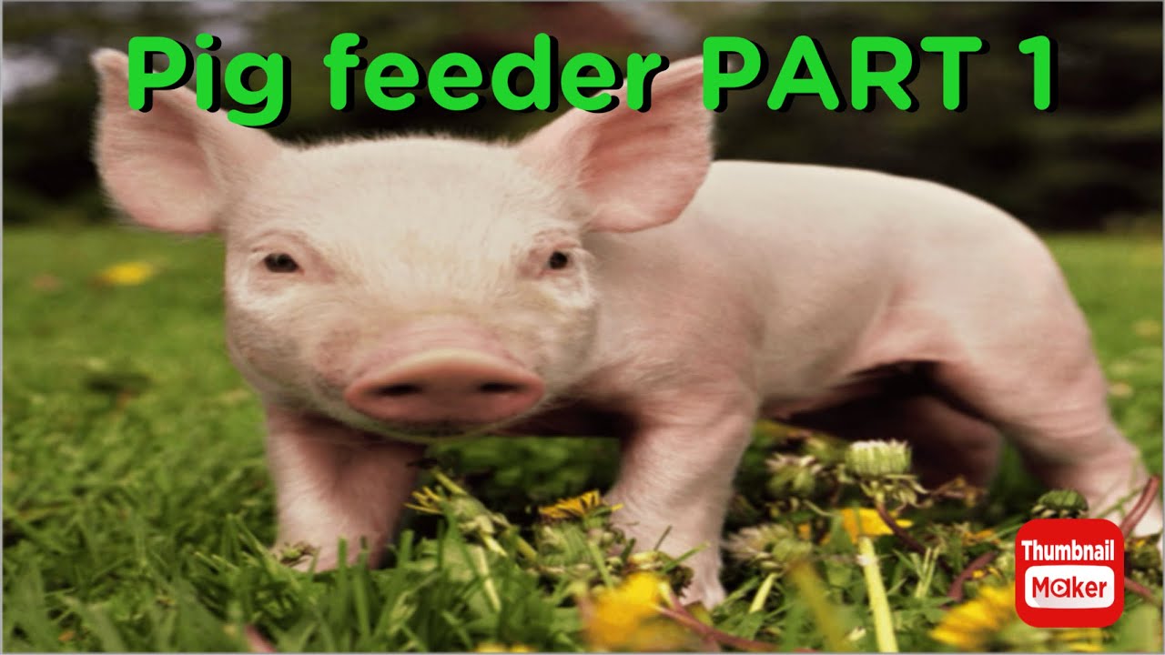 DIY PIG FEEDER OUT OF WOOD PART 1 🐷🐷