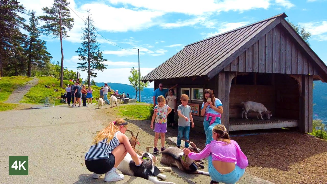 Bergen Norway walk | hiking in Bergen Mount Ulriken-Mount Floyen | Norway Summer 4k walking tour