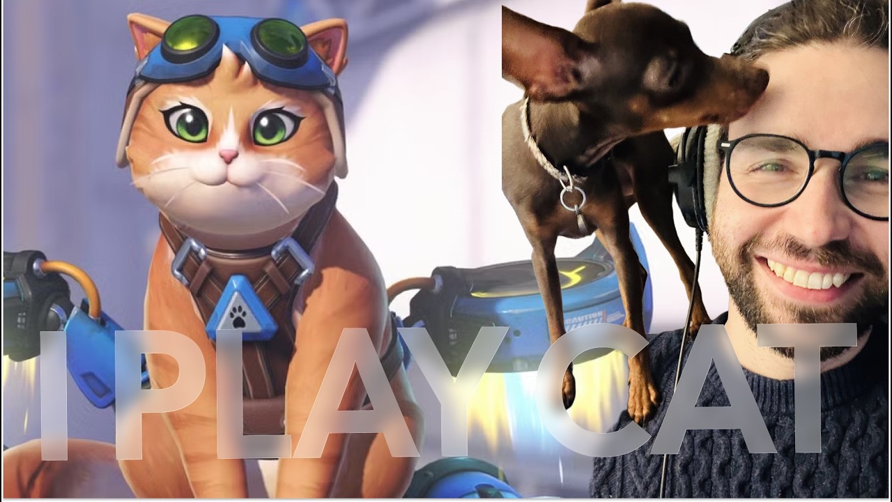 cat overwatch