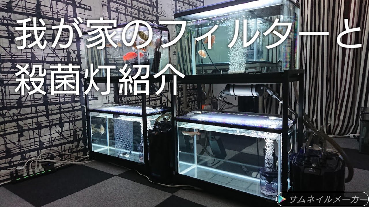 我が家のフィルターと殺菌灯紹介、テトラ外部フィルター、GEX外部フィルター