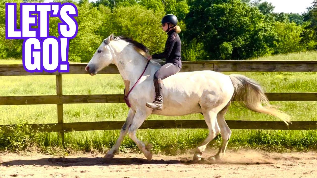 Unbelievable Experience! Riding 3 Horses Bridleless