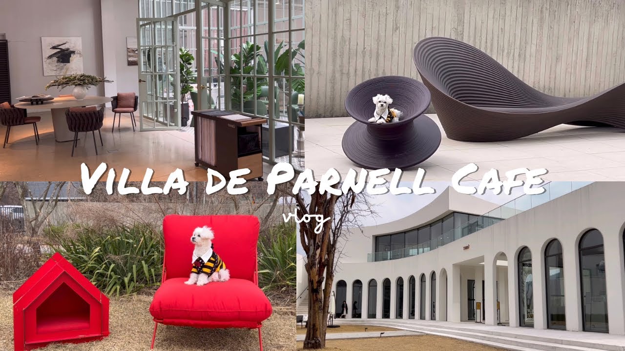 강아지 동반 가능 카페 | 빌라드파넬 카페 | Vlog