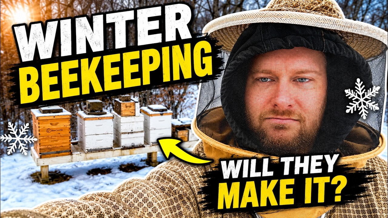 West Virginia Beekeeping: Will they make it? | Winter Beekeeping | Checking Food Stores