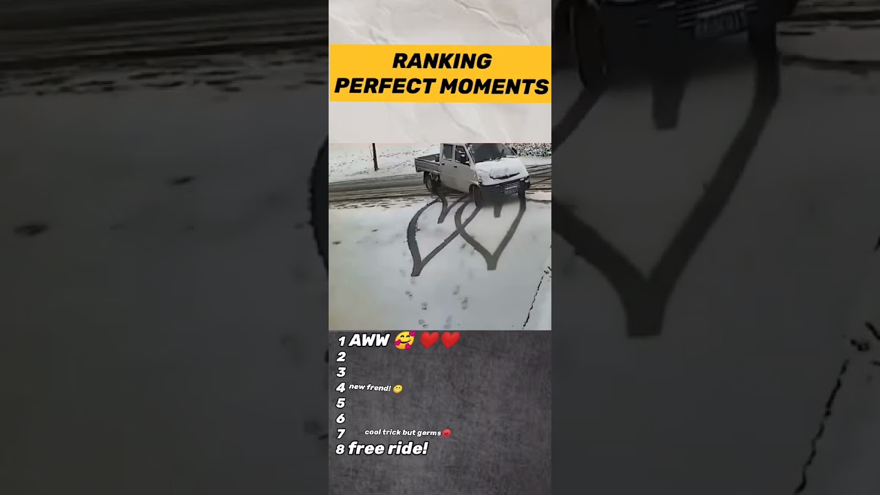ranking perfect moments #perfect #shocking #shorts #ranking #goofy #funny #miss #hit #highlights