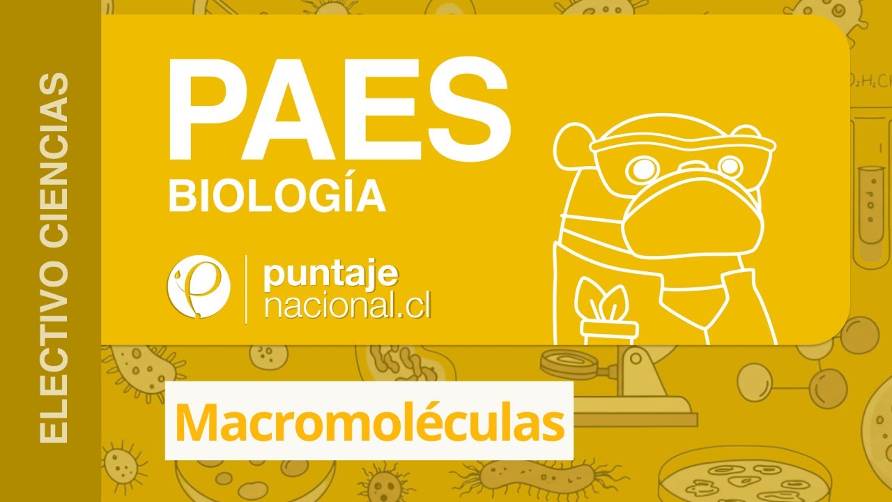 PAES | Biología | Macromoléculas
